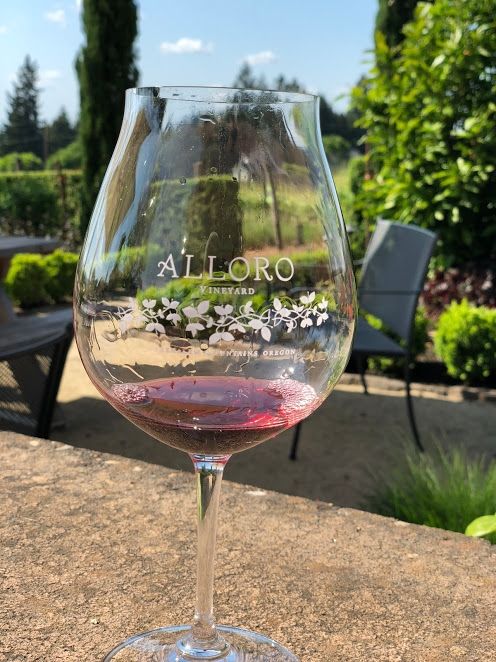 The Allure of Alloro: A European Wine Tasting Experience