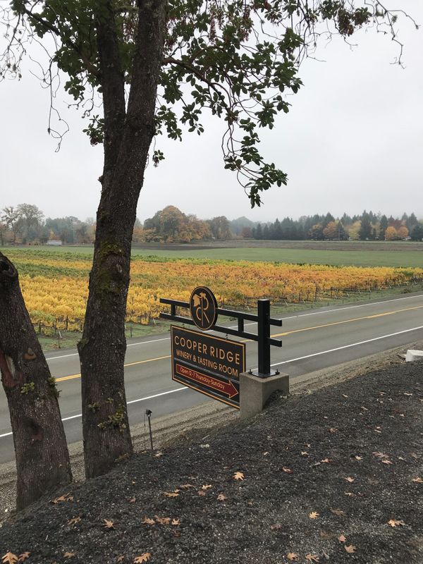A Perfect Fall Day for a Visit to Cooper Ridge Tasting Room